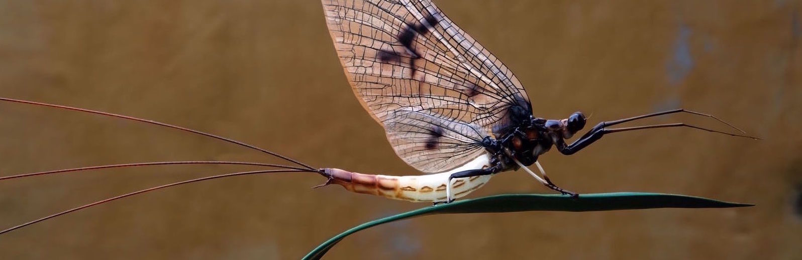 What Does Resolution Mean in 3D Printing? Pt. 2 Formlabs