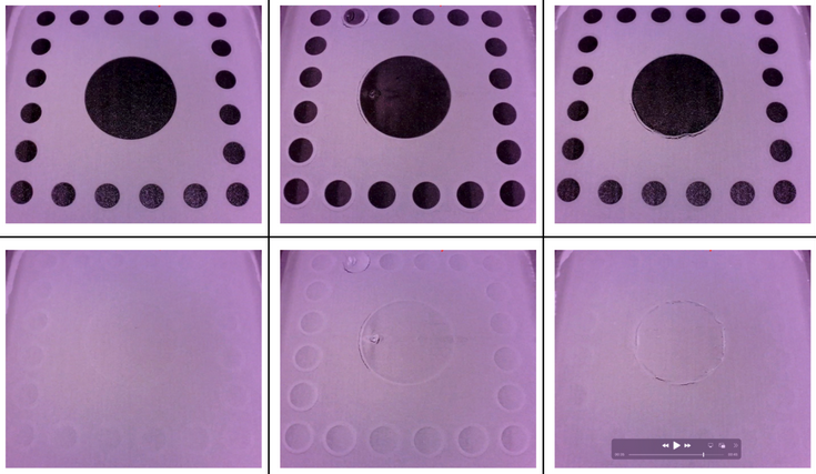 Polypropylene Surface Armor 發白與捲曲比較