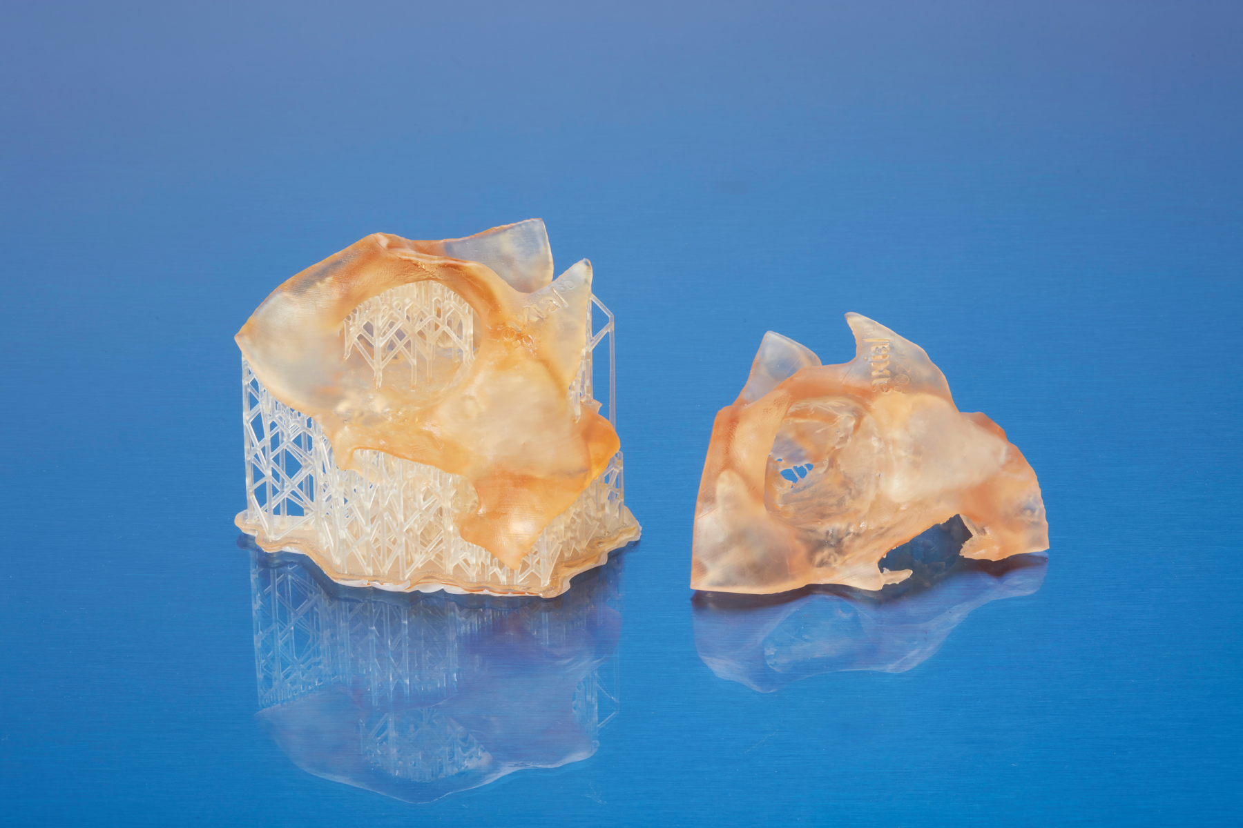 Implant sizing models