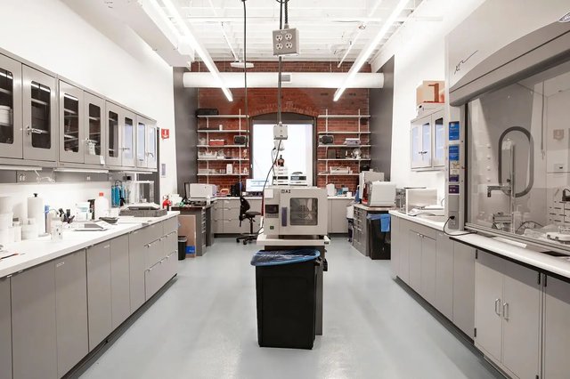 How Formlabs is Transforming 3D Printing Through Materials Innovation ...