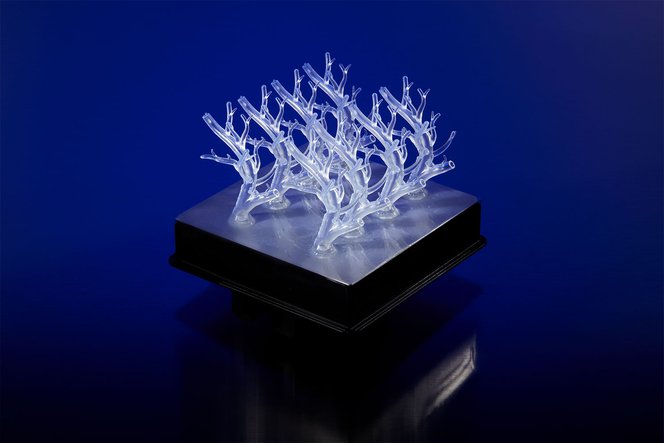 Elastic Resin is suitable for directly printing soft flexible prototypes and models that once needed to be produced with moldmaking.
