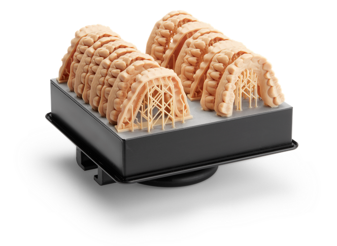 Dental Model