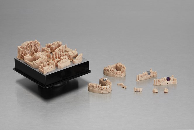 Dental Model
